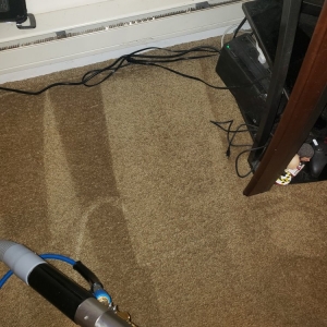 Photo of Carpet beautifier