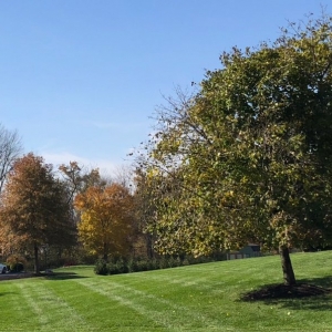 Photo of G A Landscaping