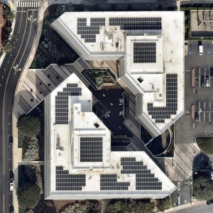 Photo of Treepublic