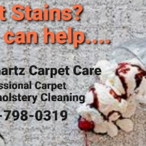 Plum Kirchartz Carpet Care