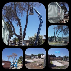 Photo of Complete Property Cleaner