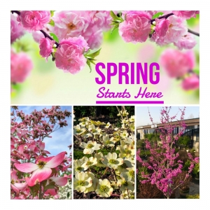 Photo of Sherwood's Forest-Nursery & Garden Center