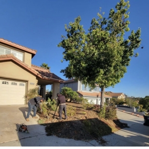 Photo of True Shine Building Services
