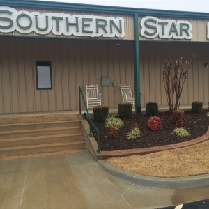 Photo of Southern Star