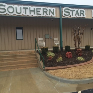 Photo of Southern Star