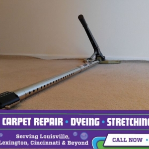 Photo of The Carpet Chemist