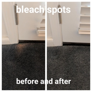 Photo of The Carpet Chemist