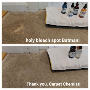 Photo of The Carpet Chemist