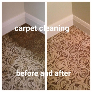 Photo of The Carpet Chemist