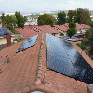 Walnut 365 Solar
