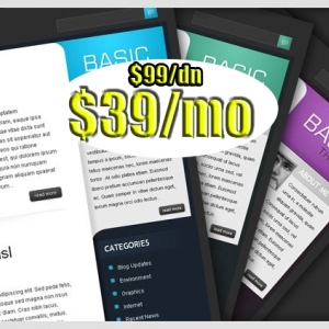 Photo of Peer Web Design and Marketing