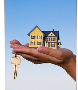 Photo of Lynx Property Services
