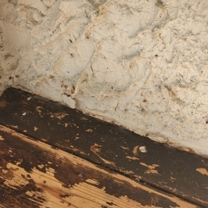 Photo of HT Services