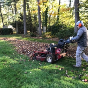 Photo of Martin's Landscaping