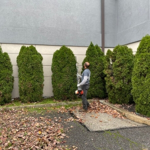 Photo of Martin's Landscaping