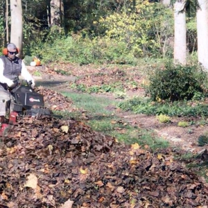 Photo of Martin's Landscaping