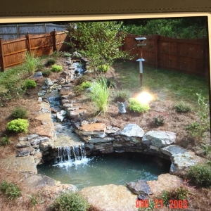 Photo of Ponds By David