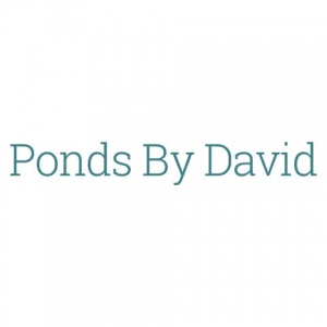 Photo of Ponds By David