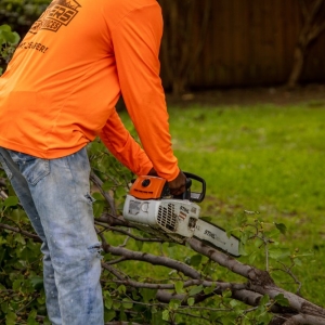 Photo of Brothers Landscape Services