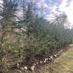Duvall JP Landscape Services, Inc.