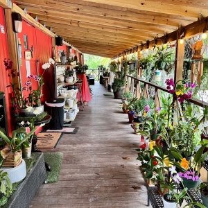 Davie Zensations Garden