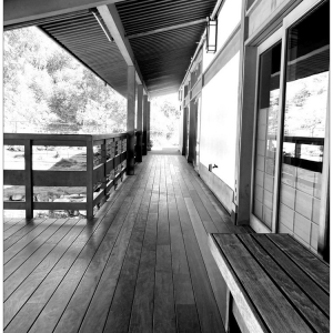 Photo of Japanese Friendship Garden