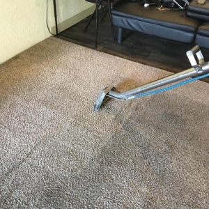 Photo of JT Carpet Cleaning
