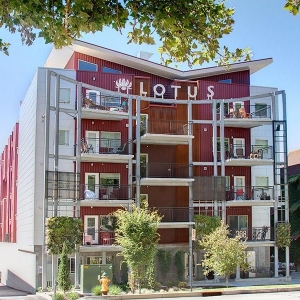 Photo of Lotus