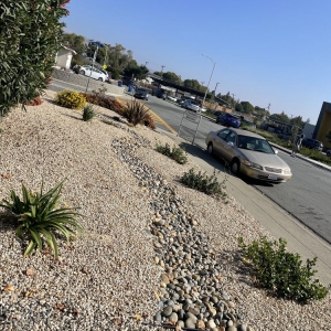 San Jose Ismael Ruiz Landscaping & Gardening