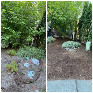 Photo of Zion Landscaping and Construction Services