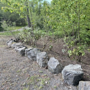 Photo of Zion Landscaping and Construction Services