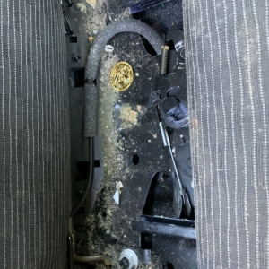 Photo of Go Green Mobile Auto Detail