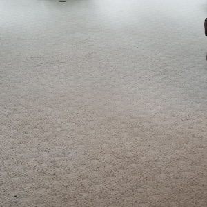 Photo of NW Pacific Green Carpet Cleaning
