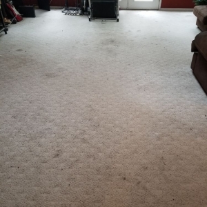 Photo of NW Pacific Green Carpet Cleaning