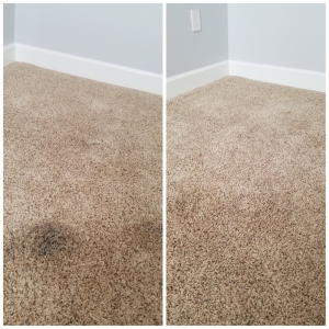 Photo of Carpet Doctor