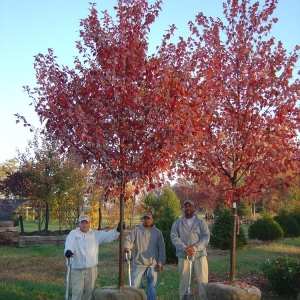Photo of Daniel Fischer Landscape Nursery
