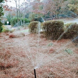 Photo of Illumigation Services