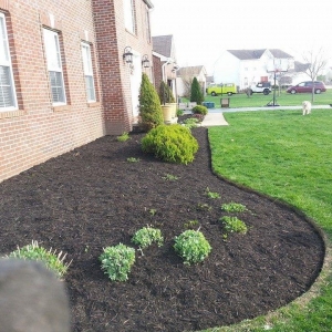 Photo of Prairie Creek Lawnscapes