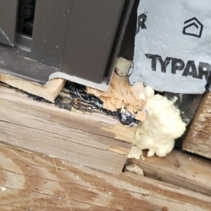 Photo of Quality Window & Door