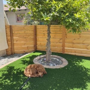 Photo of Sublime Outdoor Creations