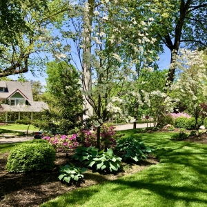 Photo of Lawn Envy