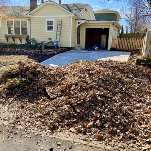 Photo of Lawn Envy
