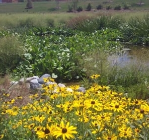 Photo of Williams Creek Management Corp