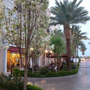 Photo of Green Mesa Capital