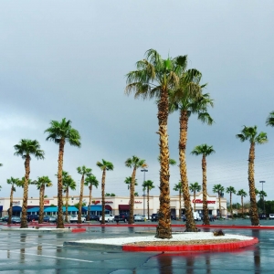 Photo of Green Mesa Capital