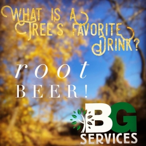 Photo of B G Services