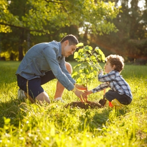 Photo of Mutual of Omaha Mortgage