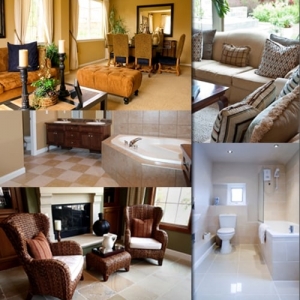 Photo of Palmetto Carpet & Tile Cleaners