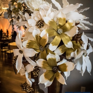 Photo of DNM Events