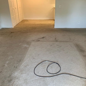 Photo of Mr Banks Carpet Cleaners